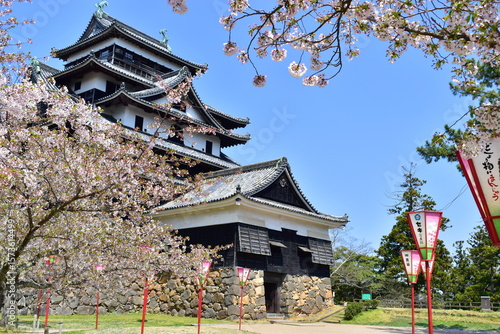 島根　松江　松江城　桜　春　花見