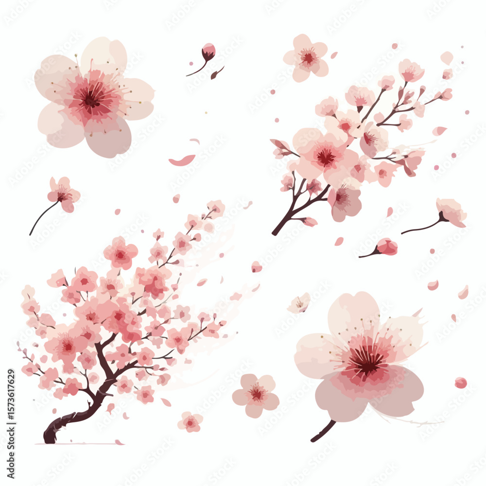 Fototapeta premium Image of cherry blossoms falling in the wind with a simple and minimalist flat design using a white background