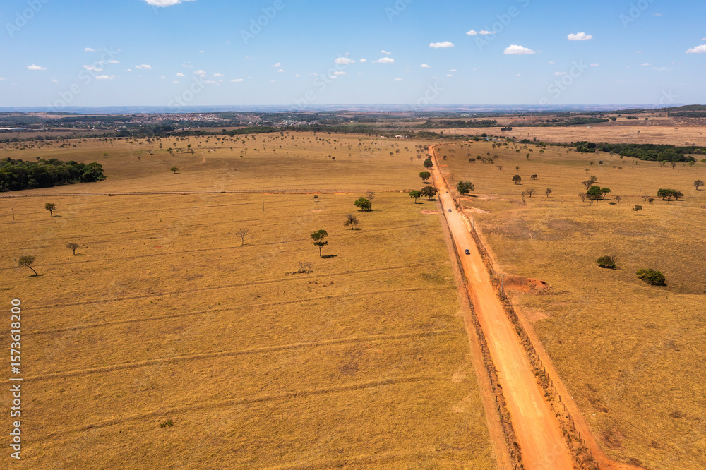 Fototapeta premium Aerial view of cars crossing through a dirt road in the cerrado area. Goiás, Brazil.
