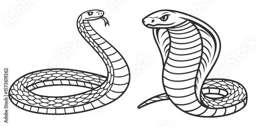 Vintage Snake Illustrations – Coiled and Slithering Snake Engravings