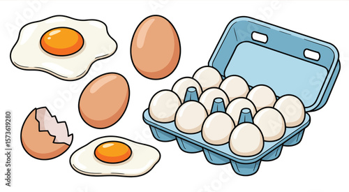 Fried Egg, Broken Egg, and Eggs in Carton