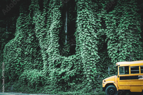 a hill and structure engulfed by kudzu vines with a school bus in the foreground. invasive plant design element.