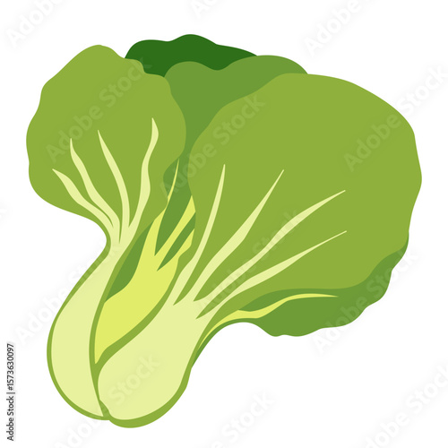 fresh vegetables isolated on white background, flat design bok choy, simple healthy vegetable clipart, clean food icon
