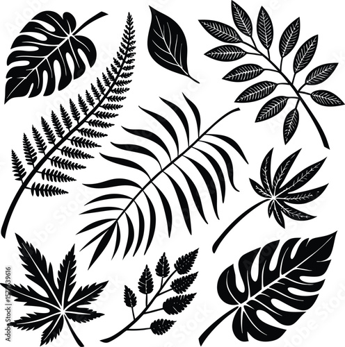 Collection of Tropical and Temperate Leaves Black Silhouette Illustrations