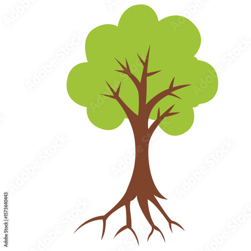 Flat vector of a green tree with multiple branches and visible roots. Ideal for educational visuals, eco projects, or reforestation themes.