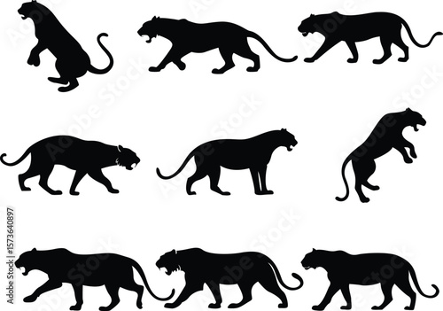 Majestic Tiger Silhouette  Wild Jungle Predator Art