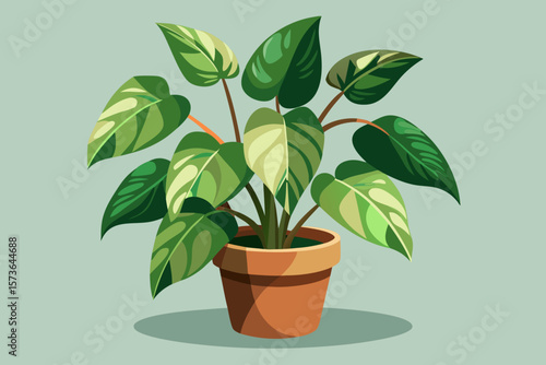 plant in pot
