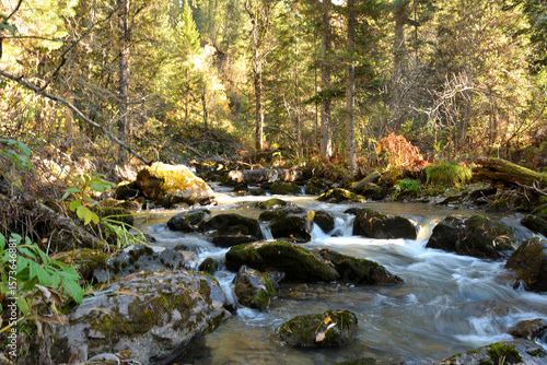 The rays of the rising sun illuminate a turbulent mountain river flowing through a dense forest on an autumn morning.