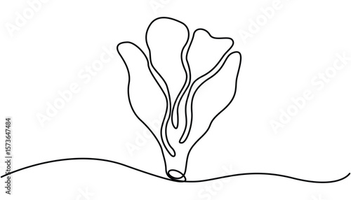 Lettuce in continuous line art drawing style. one line art Lettuce vector illustration. one continuous line, simple, hand drawn and sketch style. Chinese cabbage in continuous line art drawing.