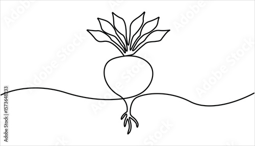 Beetroot in continuous line art drawing style. One single line drawing of whole healthy organic red radish for farm logo identity. One line drawing illustration of growing radish. 