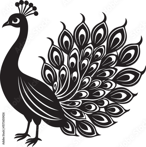 elegant peacock silhouette vector icon, elegant peacock vector illustration,