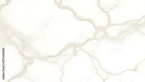 Clean white marble texture with grey veins