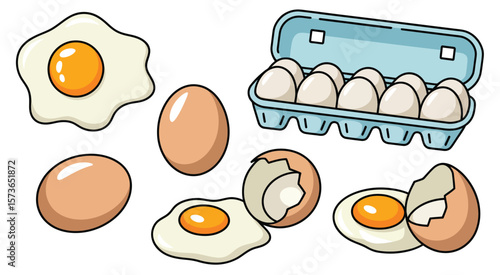 Fried Eggs and Eggs in Carton  Illustration