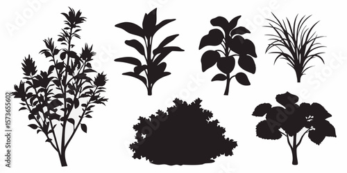 Botanical Silhouettes: A collection of assorted plant and flower silhouettes against a clear backdrop, ideal for graphic resources, botanical illustration, or design compositions. 