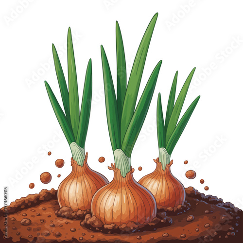 Three Growing Onions in the Soil
