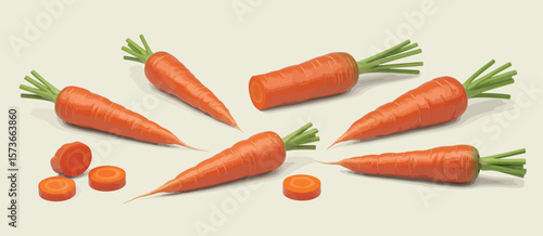 Fresh Carrots and Slices on Light Background