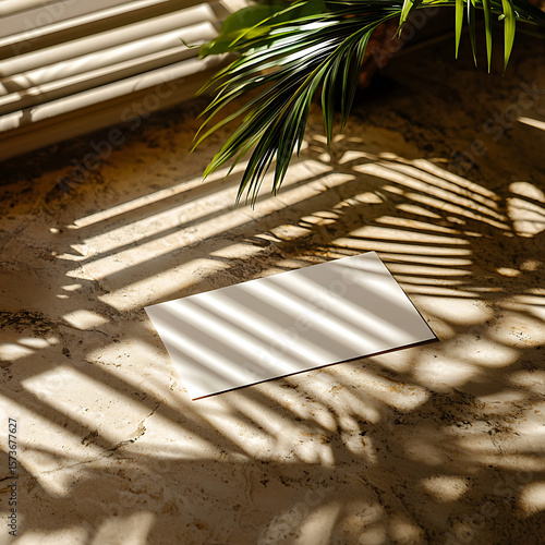 Minimalist Postcard Mockup with Natural Shadow Patterns and Tropical Leaves