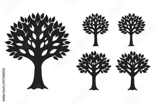 set of Sycamore tree vector silhouette illustration isolated on white background