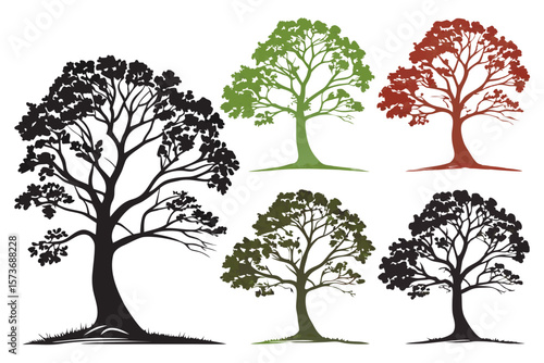 set of Sycamore tree vector silhouette illustration isolated on white background