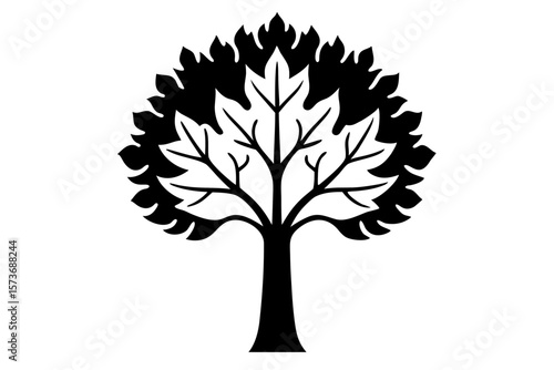 Sycamore tree vector silhouette illustration isolated on white background