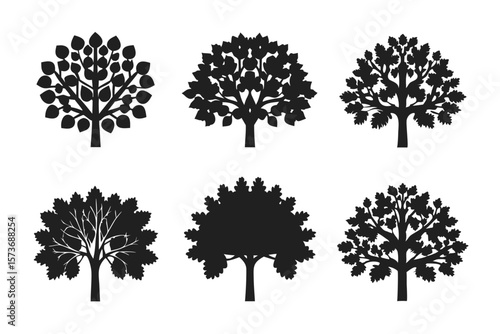 set of Sycamore tree vector silhouette illustration isolated on white background