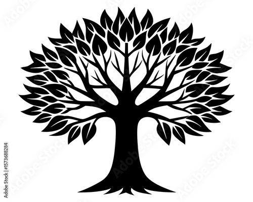 Sycamore tree vector silhouette illustration isolated on white background