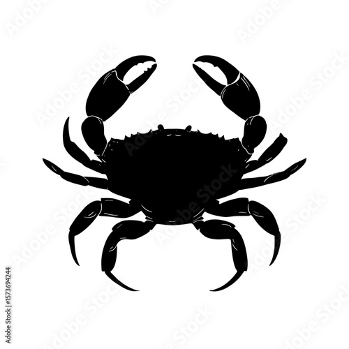 Silhouette of a crab with large claws raised, showcasing its detailed exoskeleton and multiple legs, viewed from above