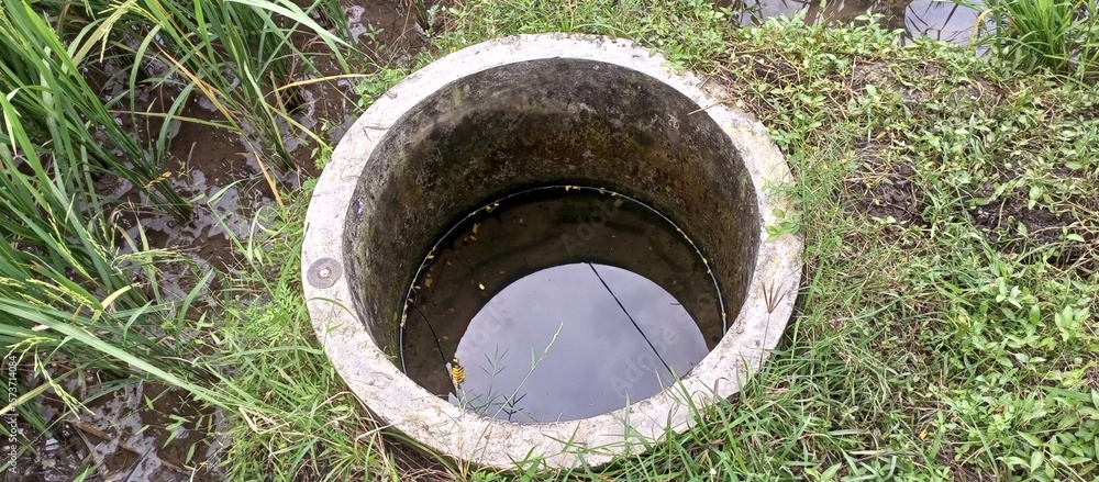Old Concrete Well Full of Water in Rice Field Old Concrete Well Full of Water in Rice Field