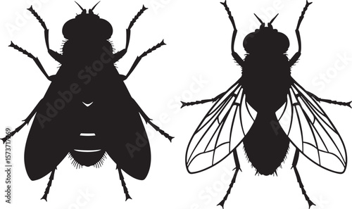 Detailed black silhouette of a flying insect with intricate wing patterns