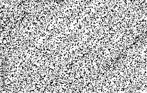 Tableau sur toile Seamless black and white pattern with a floral ornament texture design