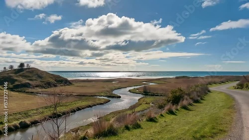 landscape of the river