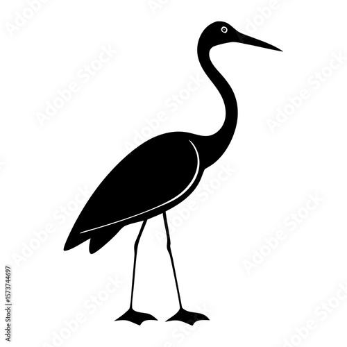 Silhouette of a graceful heron standing on its long thin legs