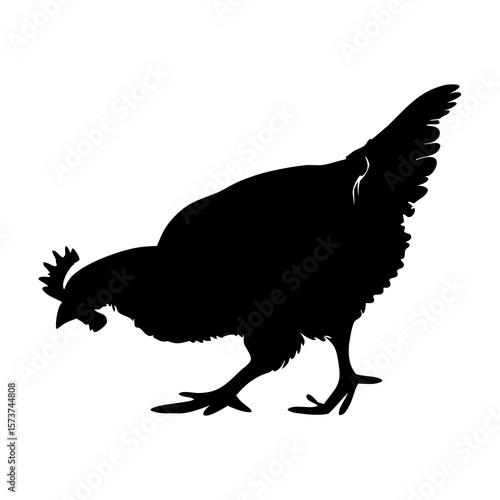 Black silhouette of a chicken pecking the ground against a white background