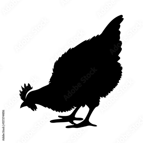 Black silhouette of a chicken pecking the ground on a white background