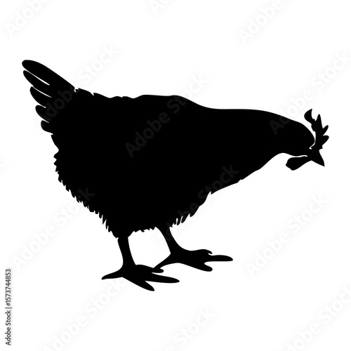 Black silhouette of a chicken pecking the ground on a white background