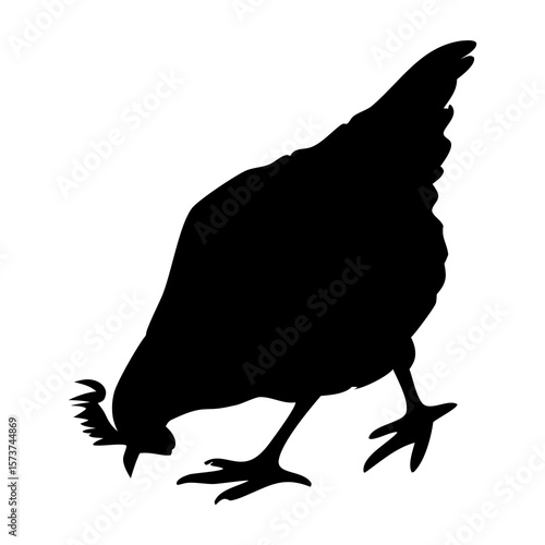 Black silhouette of a chicken pecking the ground on a white background