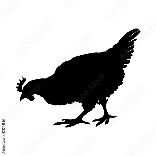 Black silhouette of a chicken pecking the ground on a white background