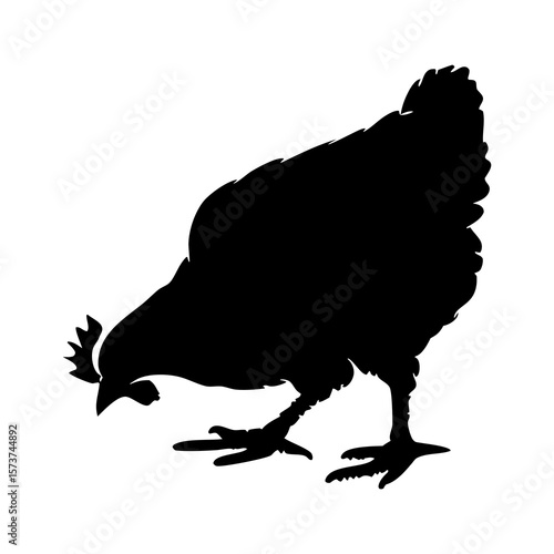 Black silhouette of a chicken pecking the ground on a white background