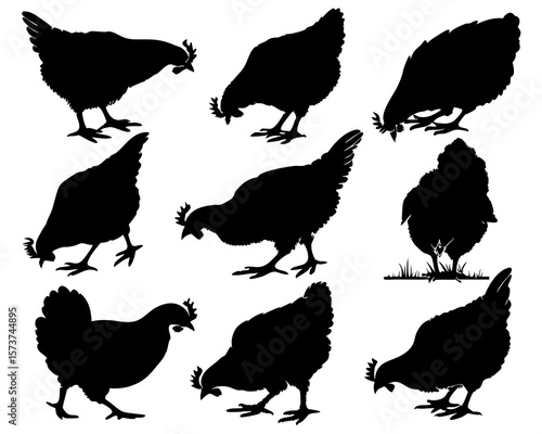 Collection of nine black chicken silhouettes in various foraging poses