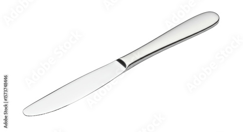 Stainless Steel Butter Knife.