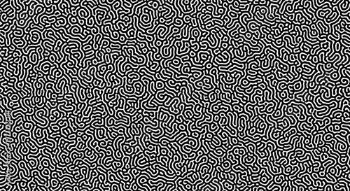 Abstract Black and White Organic Pattern: A Stylized Illustrative Network of Thick, Snaking White Lines Resembling Fingerprints or Brain Coral on a Solid Black Background
