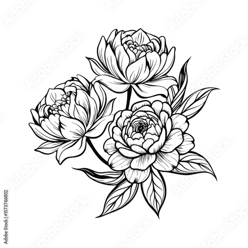 Hand-drawn peony flower bouquet. Black and white floral line art illustration.