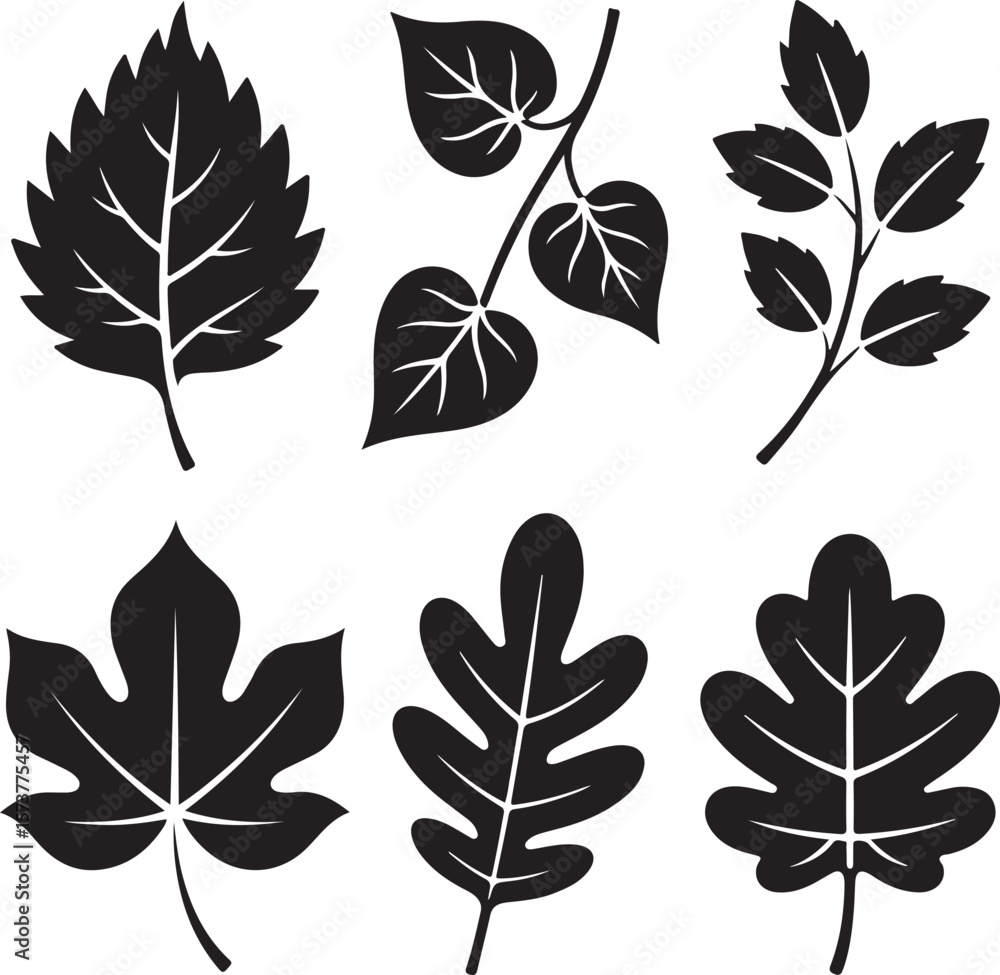 Fototapeta premium Black leaf silhouettes with veins and stems leaves nature