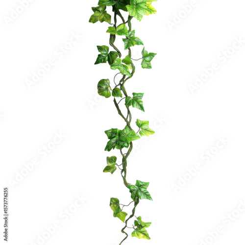 realistic tropical hanging vines with twisted stems and exotic flowers isolated on transparent background