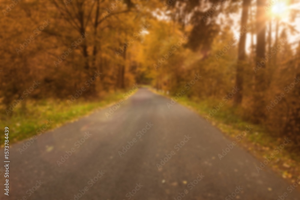 Fototapeta premium Empty road by trees during autumn