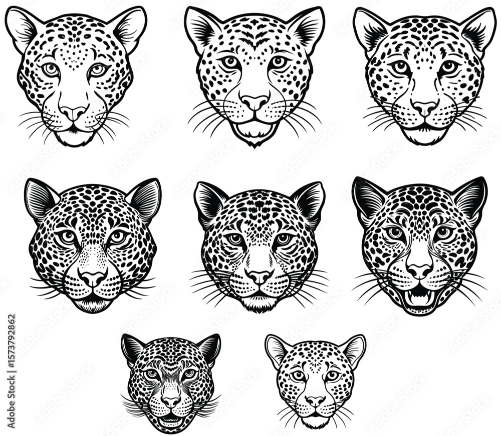 Fototapeta premium Line art animal design vector art 