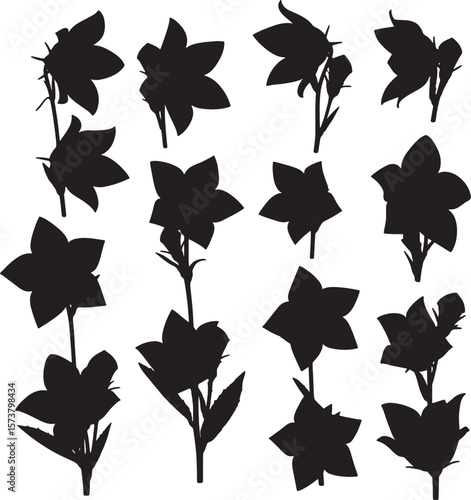 Diverse bellflower silhouettes in various poses and sizes, perfect for adding elegant botanical accents to any design project, evoking a sense of natural beauty