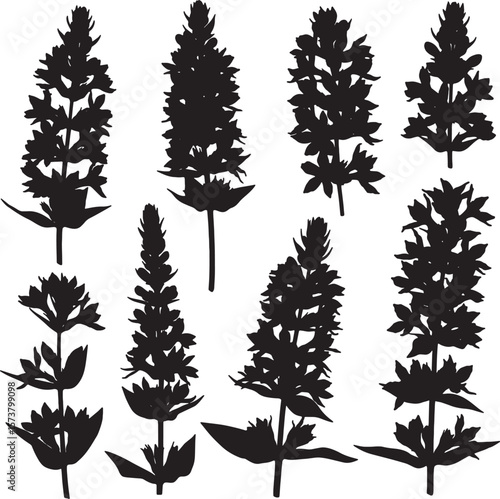 Collection of various silhouetted flower plants, perfect for botanical designs, nature illustrations, elegant floral patterns, and diverse artistic projects requiring graphic elements or natural theme