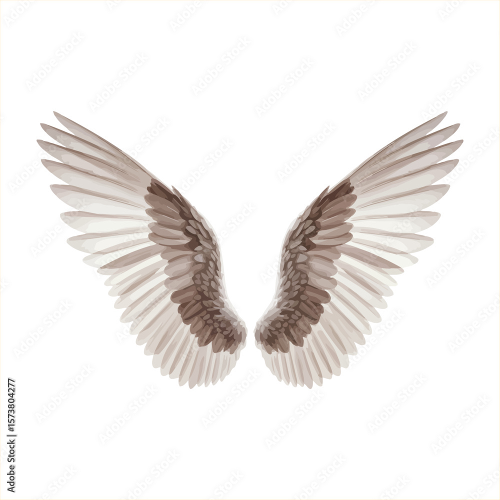 Fototapeta premium Vector Illustration Of Angel Wings With Brown And White Feathers Isolated On White Background