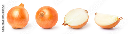 Fotografie Onion on white background